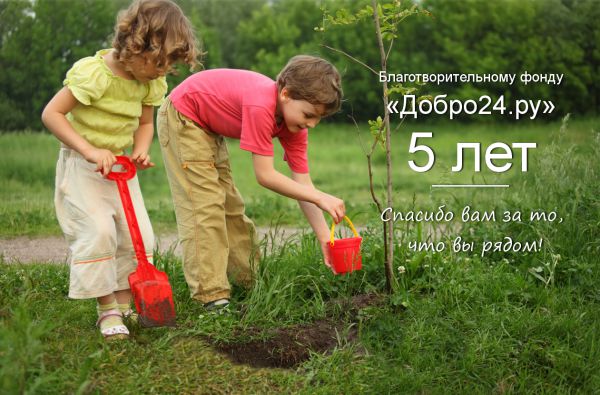 Сегодня благотворительному фонду «Добро24.ру» 5 лет - 1