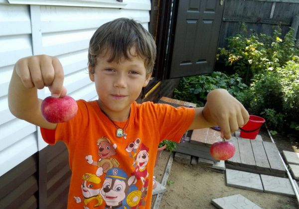 Сладкие яблочки от особенного мальчика - 1