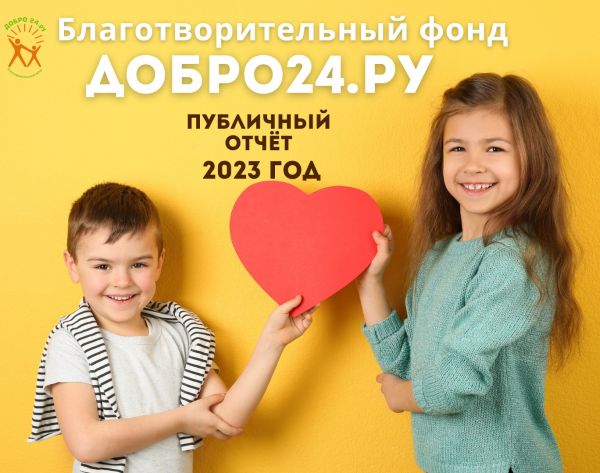 Публичный годовой отчет о деятельности БФ «Добро24.ру» за 2023 год - 1