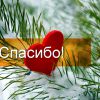 Наш январь