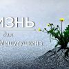 Красноярск, приходи! Сложим «ЖИЗНЬ» для Гриши Мишутушкина!