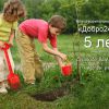 Сегодня благотворительному фонду «Добро24.ру» 5 лет