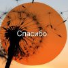Гриша Мишутушкин: сбор закрыт