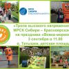 Высокое напряжение на «Вовке-морковке»